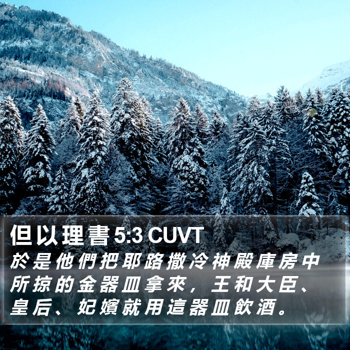 但 以 理 書 5:3 CUVT Bible Study