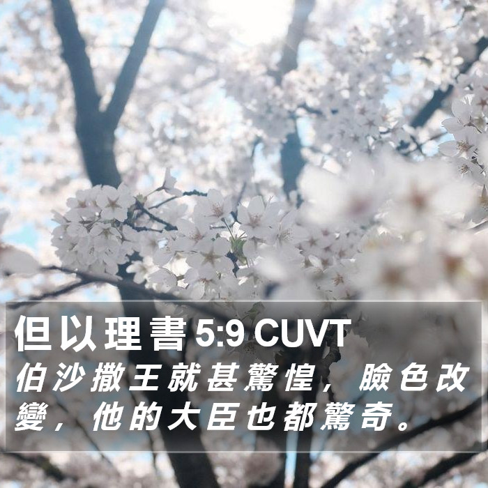 但 以 理 書 5:9 CUVT Bible Study