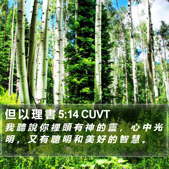 但 以 理 書 5:14 CUVT Bible Study