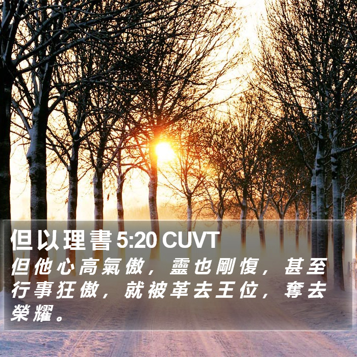 但 以 理 書 5:20 CUVT Bible Study