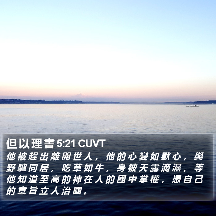 但 以 理 書 5:21 CUVT Bible Study