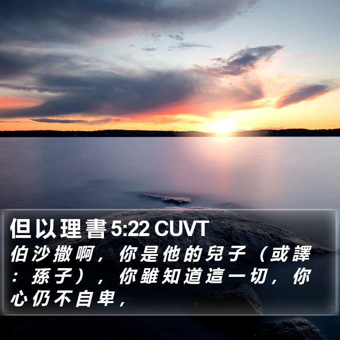 但 以 理 書 5:22 CUVT Bible Study