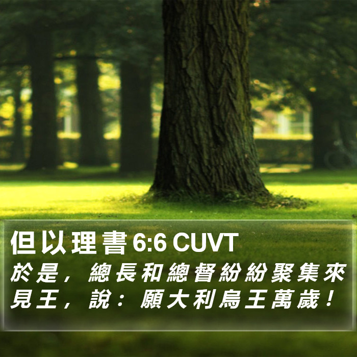 但 以 理 書 6:6 CUVT Bible Study