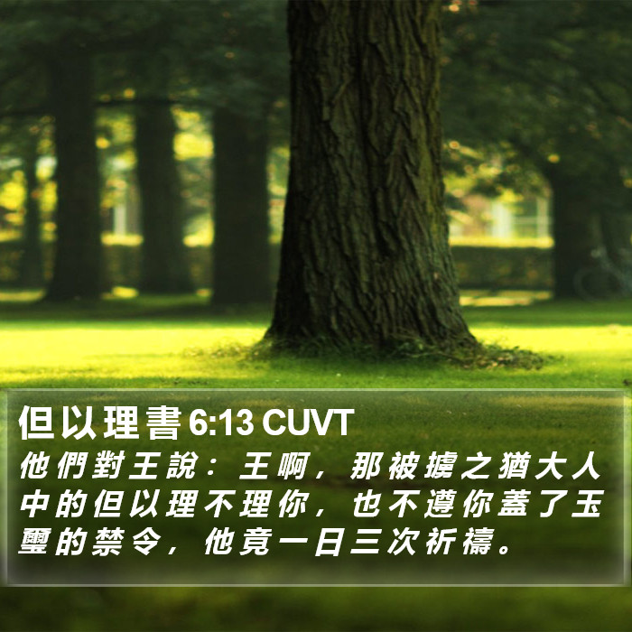 但 以 理 書 6:13 CUVT Bible Study