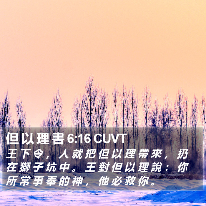 但 以 理 書 6:16 CUVT Bible Study