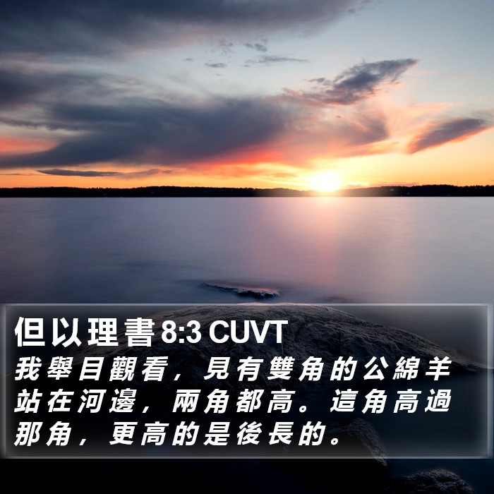 但 以 理 書 8:3 CUVT Bible Study