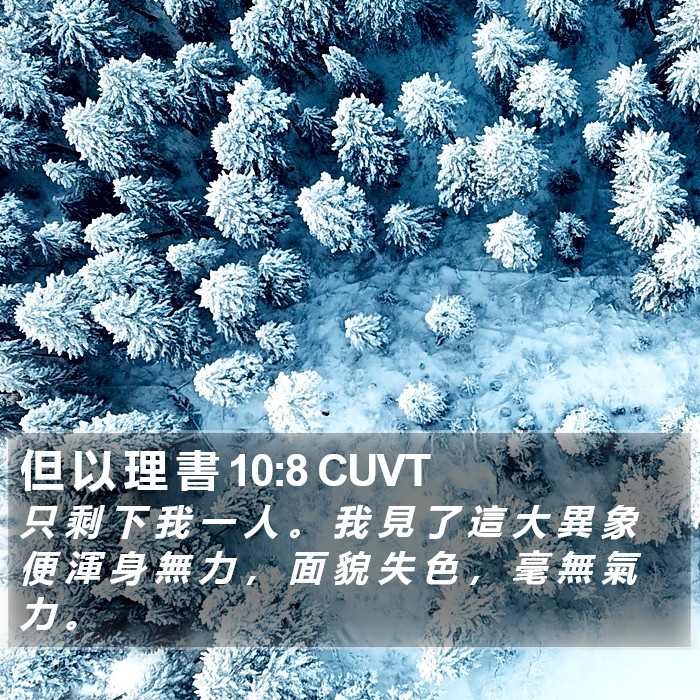 但 以 理 書 10:8 CUVT Bible Study
