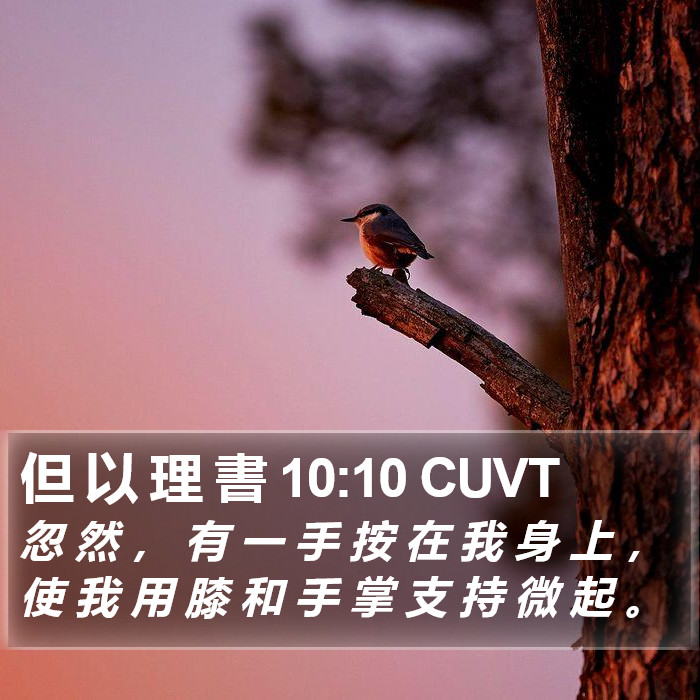 但 以 理 書 10:10 CUVT Bible Study