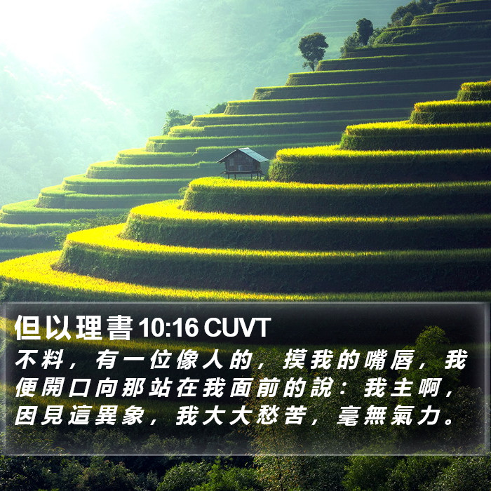 但 以 理 書 10:16 CUVT Bible Study