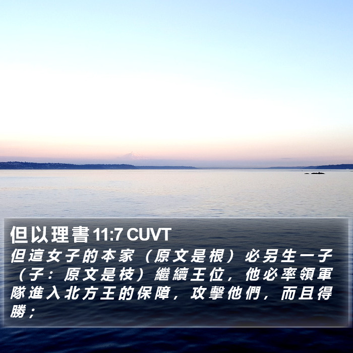 但 以 理 書 11:7 CUVT Bible Study