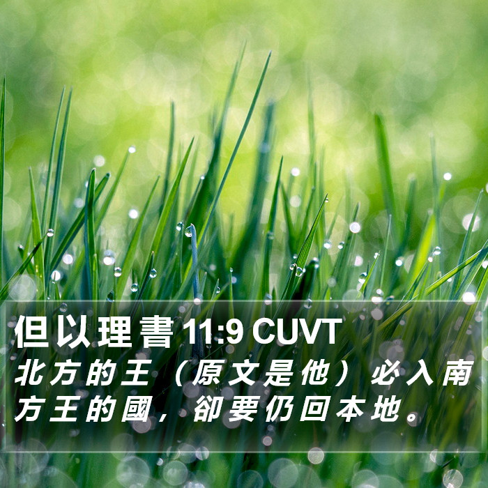 但 以 理 書 11:9 CUVT Bible Study