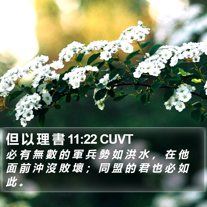 但 以 理 書 11:22 CUVT Bible Study