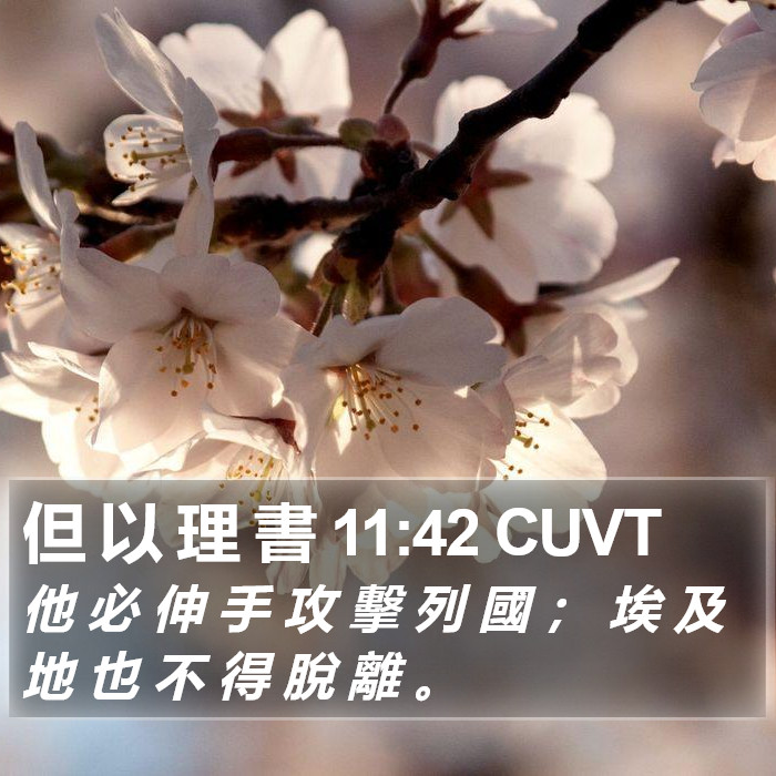但 以 理 書 11:42 CUVT Bible Study