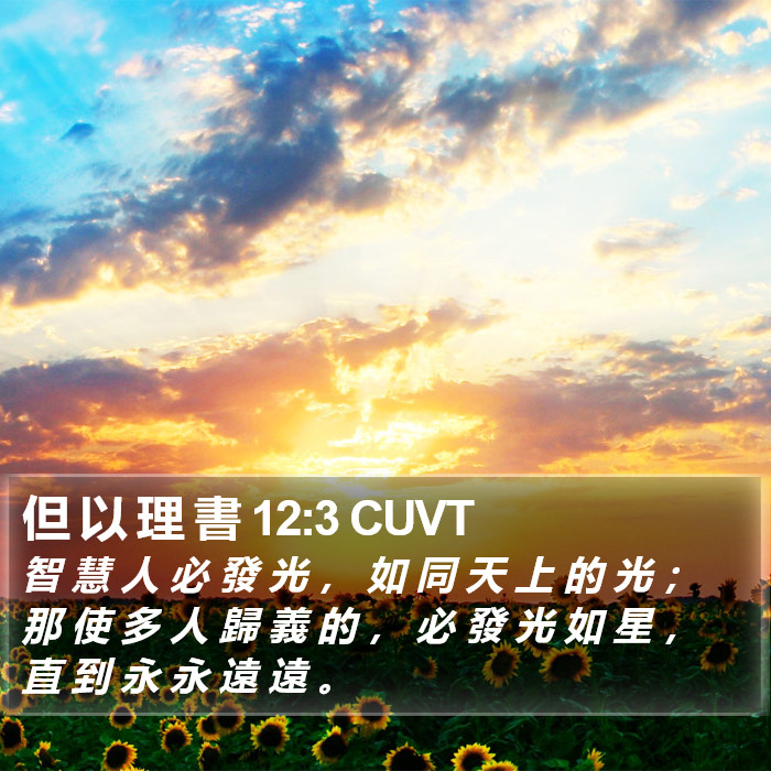 但 以 理 書 12:3 CUVT Bible Study