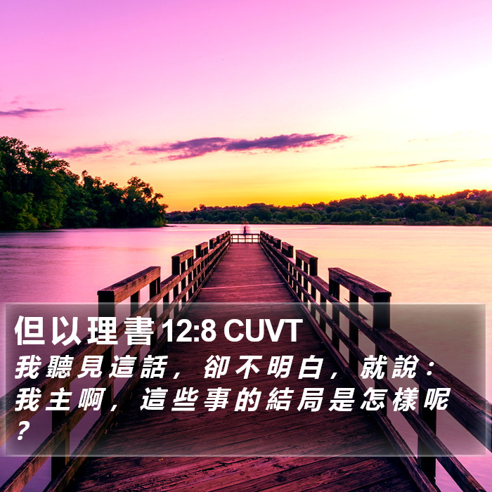 但 以 理 書 12:8 CUVT Bible Study
