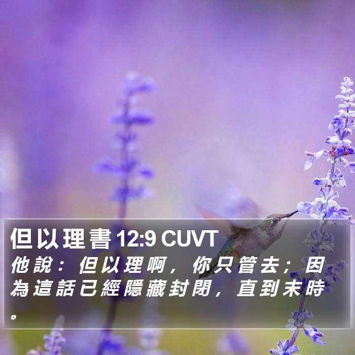 但 以 理 書 12:9 CUVT Bible Study
