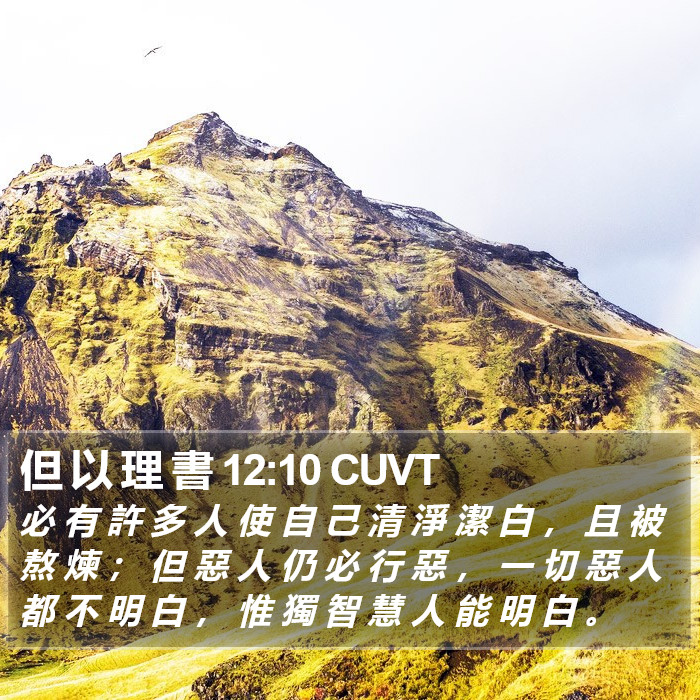 但 以 理 書 12:10 CUVT Bible Study