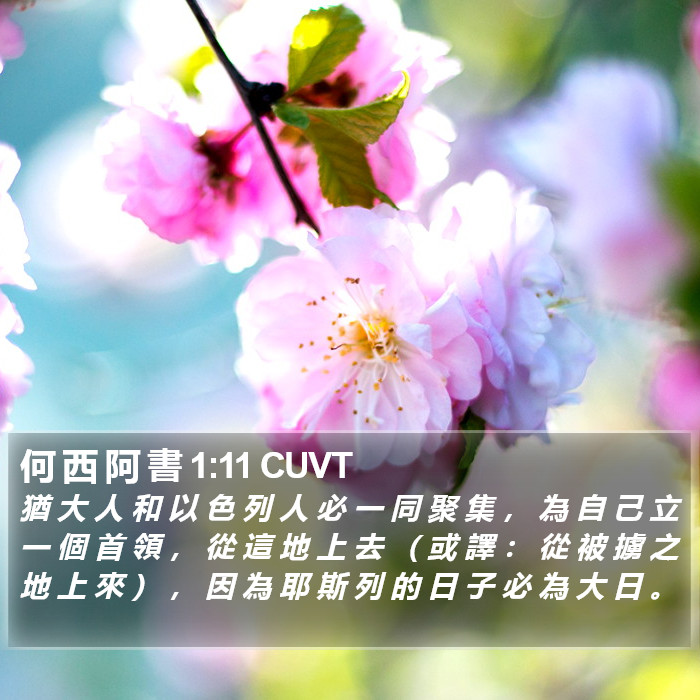 何 西 阿 書 1:11 CUVT Bible Study