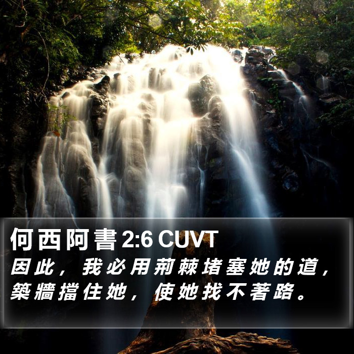 何 西 阿 書 2:6 CUVT Bible Study