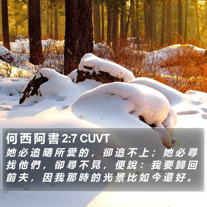何 西 阿 書 2:7 CUVT Bible Study