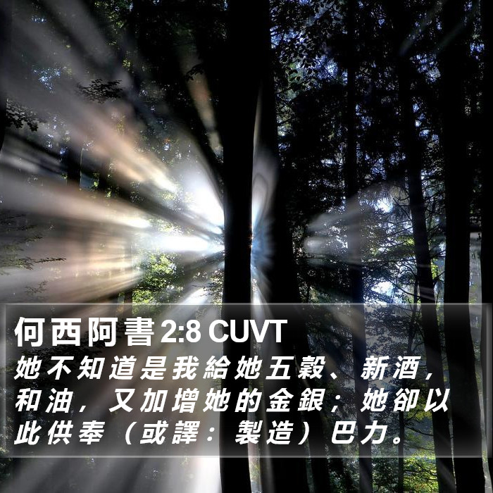 何 西 阿 書 2:8 CUVT Bible Study