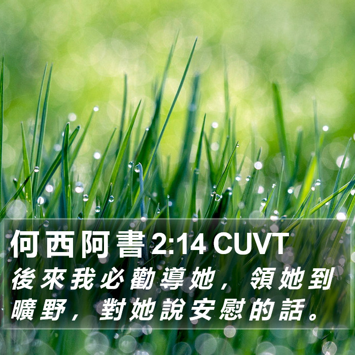 何 西 阿 書 2:14 CUVT Bible Study