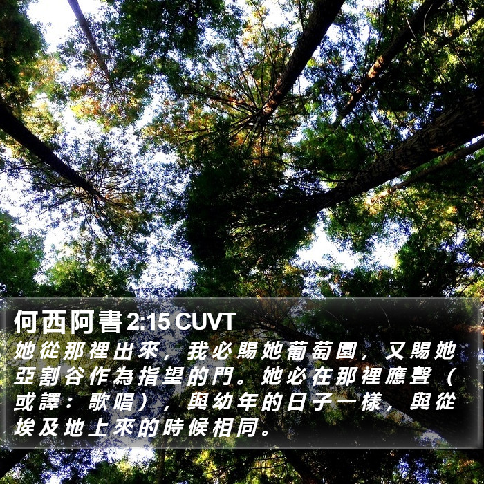 何 西 阿 書 2:15 CUVT Bible Study