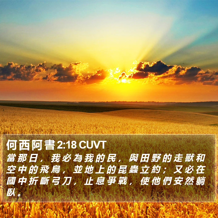 何 西 阿 書 2:18 CUVT Bible Study
