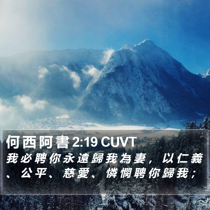 何 西 阿 書 2:19 CUVT Bible Study
