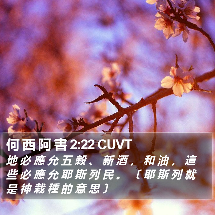 何 西 阿 書 2:22 CUVT Bible Study