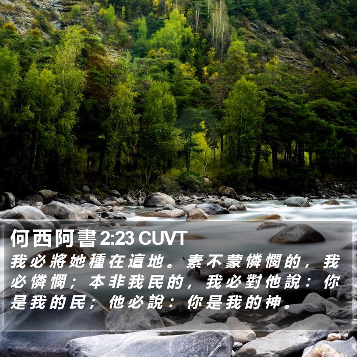 何 西 阿 書 2:23 CUVT Bible Study