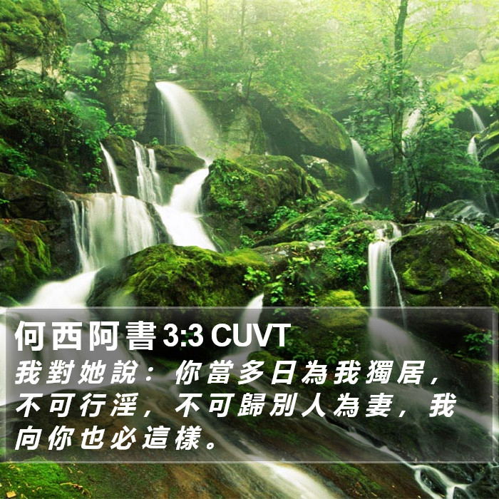 何 西 阿 書 3:3 CUVT Bible Study