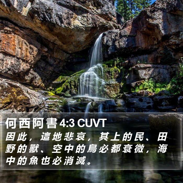 何 西 阿 書 4:3 CUVT Bible Study