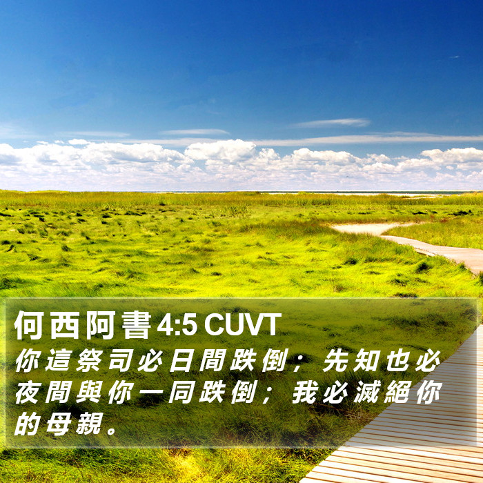 何 西 阿 書 4:5 CUVT Bible Study