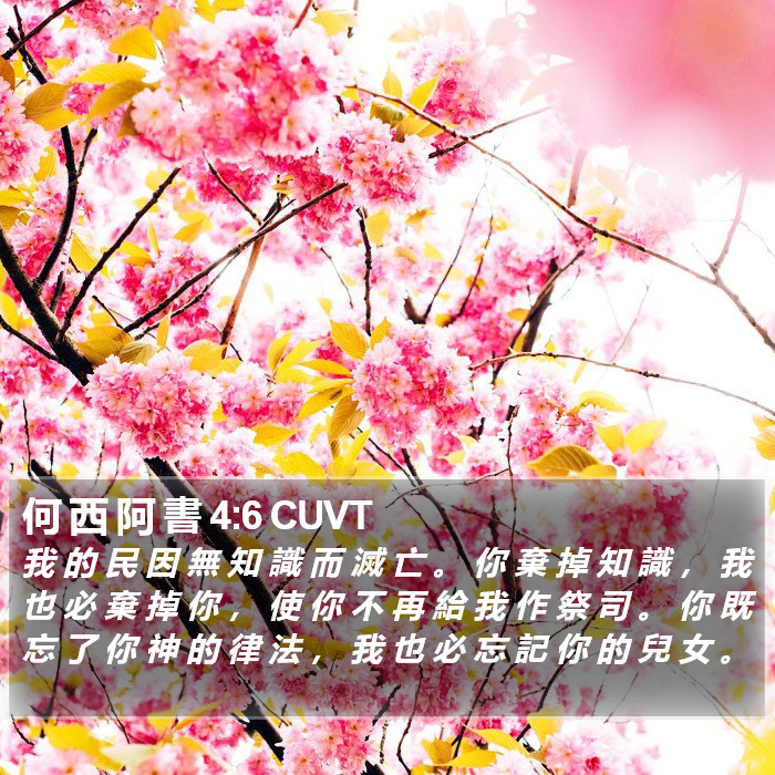 何 西 阿 書 4:6 CUVT Bible Study