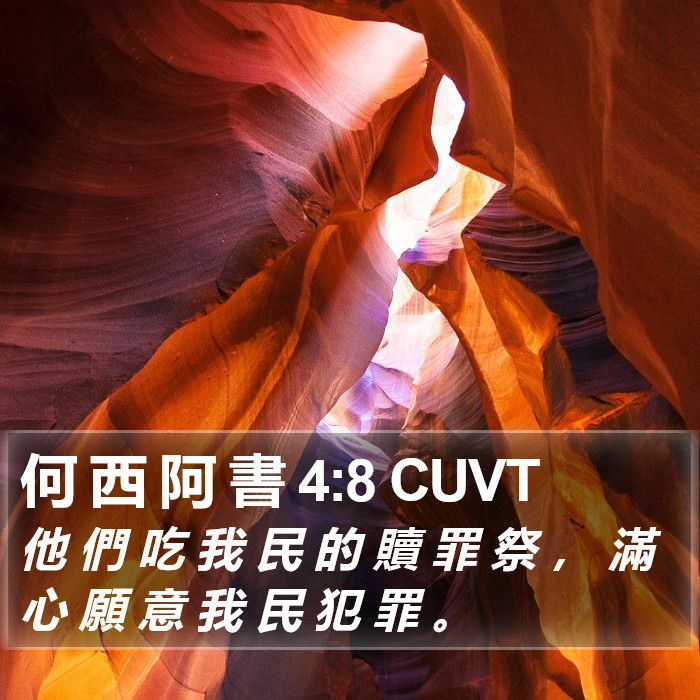 何 西 阿 書 4:8 CUVT Bible Study
