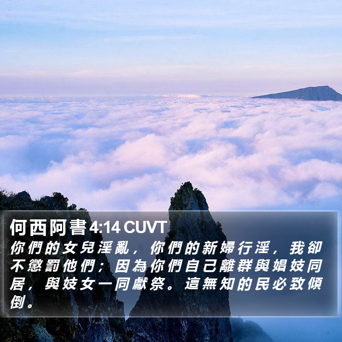 何 西 阿 書 4:14 CUVT Bible Study