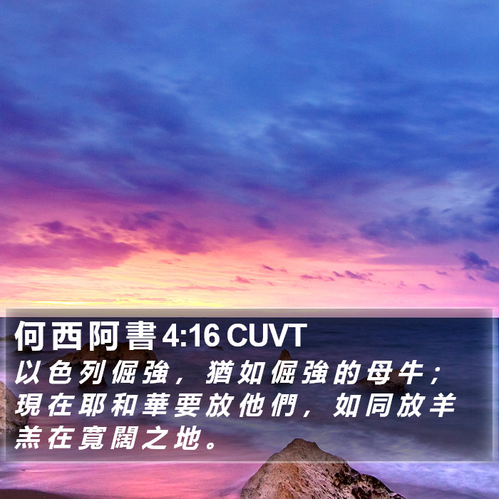 何 西 阿 書 4:16 CUVT Bible Study