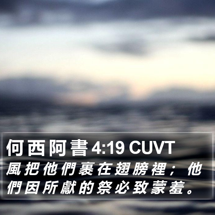 何 西 阿 書 4:19 CUVT Bible Study