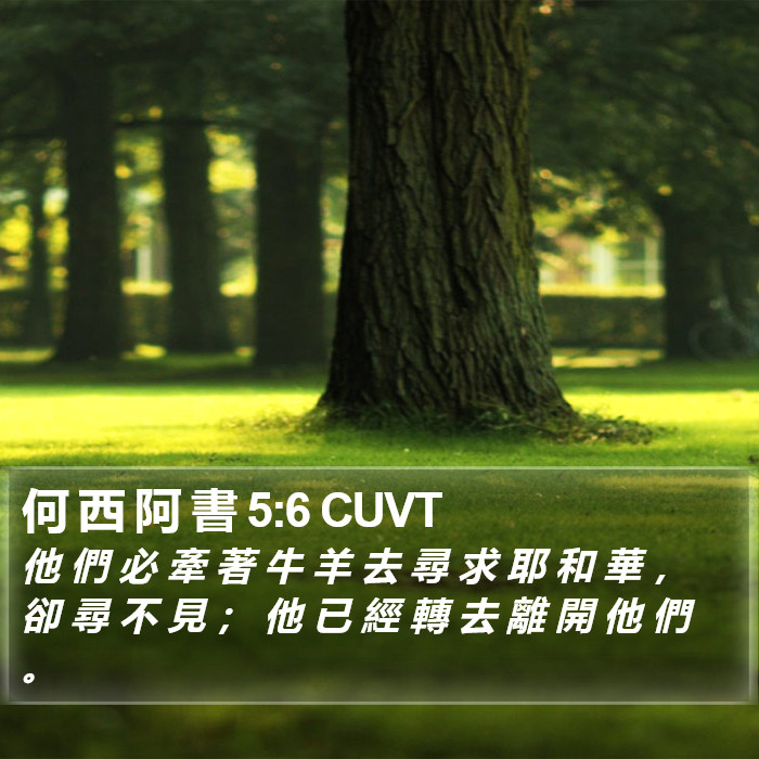 何 西 阿 書 5:6 CUVT Bible Study