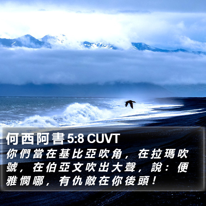 何 西 阿 書 5:8 CUVT Bible Study