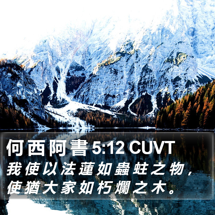 何 西 阿 書 5:12 CUVT Bible Study