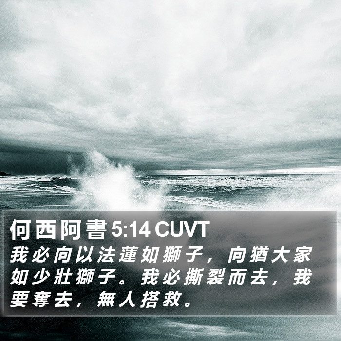 何 西 阿 書 5:14 CUVT Bible Study