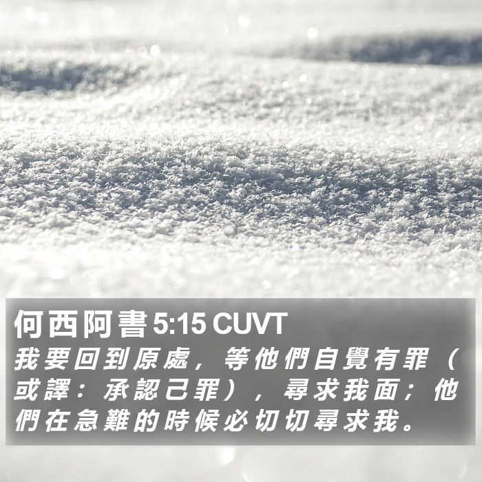 何 西 阿 書 5:15 CUVT Bible Study