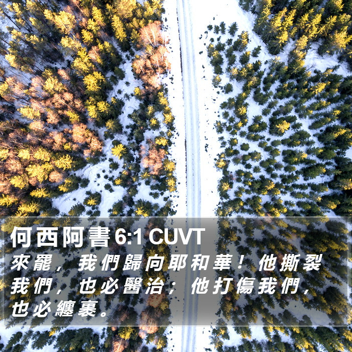 何 西 阿 書 6:1 CUVT Bible Study
