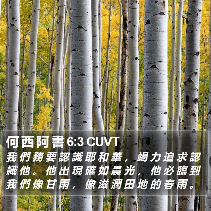 何 西 阿 書 6:3 CUVT Bible Study
