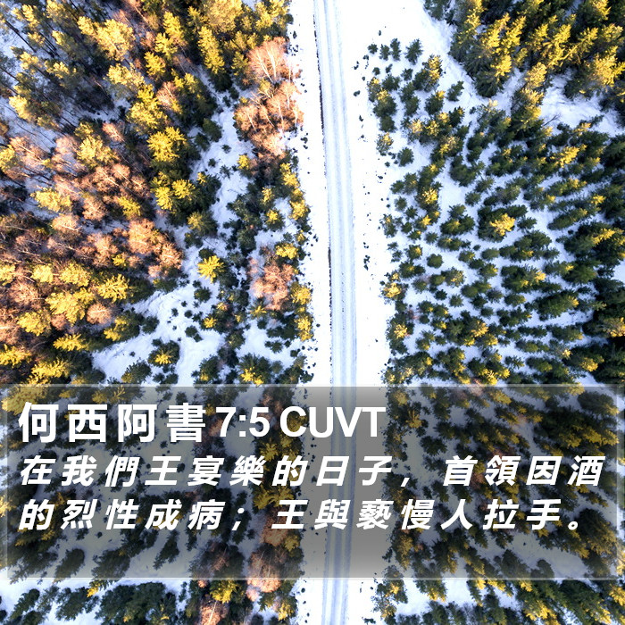 何 西 阿 書 7:5 CUVT Bible Study