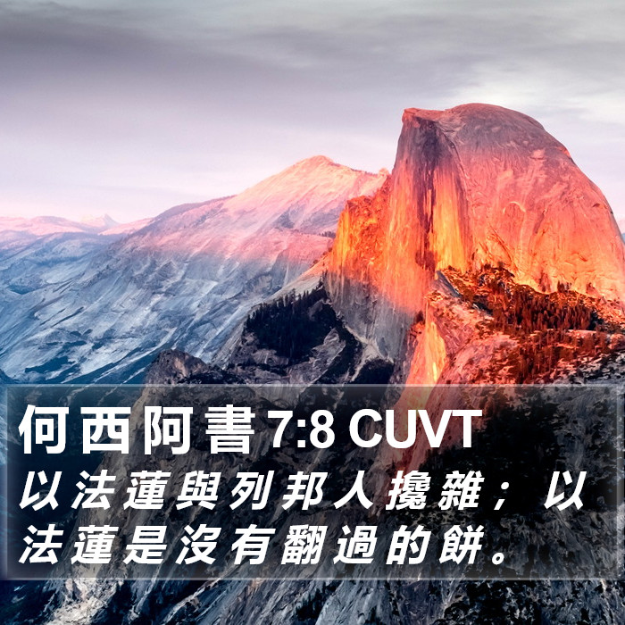 何 西 阿 書 7:8 CUVT Bible Study