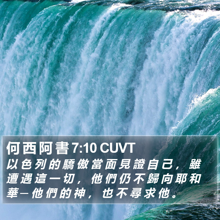 何 西 阿 書 7:10 CUVT Bible Study