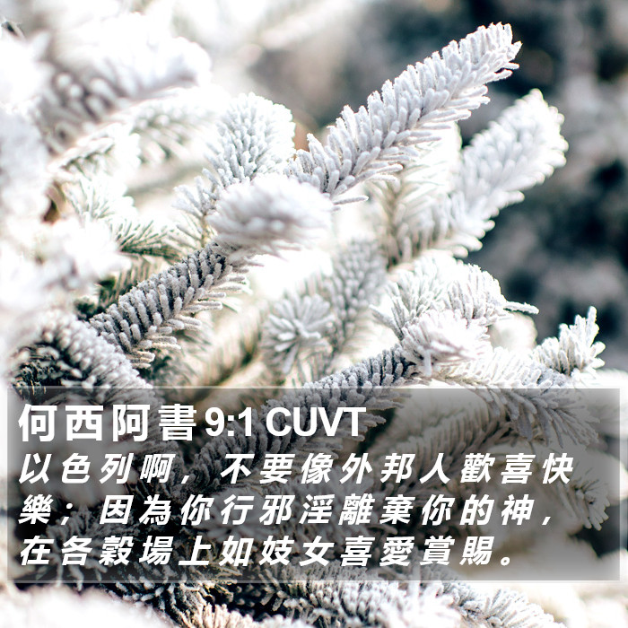 何 西 阿 書 9:1 CUVT Bible Study